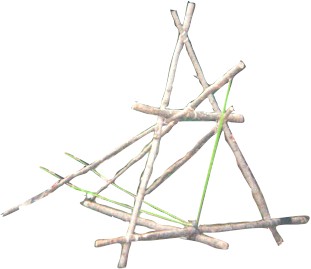 What are the physics involved in a catapult?